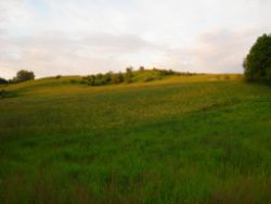 2013-06-08_Radtour_Iffeldorf-Aiderbichl (236).JPG